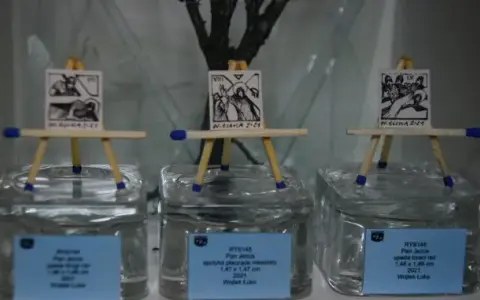 Muzeum miniaturowej sztuki profesjonalnej Henryk Jan Dominiak w Tychach - odkryj fascynujące kolekcje i wystawy