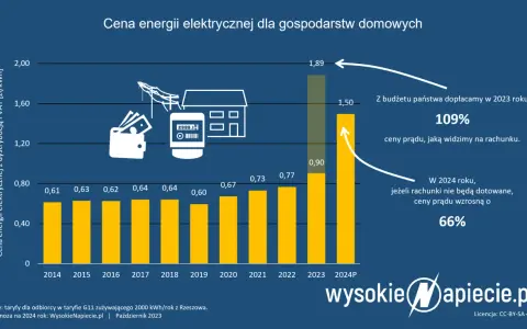 Ile kosztuje prąd w Polsce? Obniż rachunki nawet o 90%!