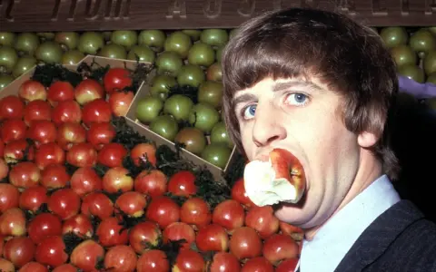 Ringo Starr, perkusista The Beatles, gryzie jabłko na tle stosów czerwonych i zielonych owoców.