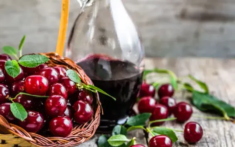Koszyk pełen wiśni i butelka nalewki z wiśni – przepis babci. Aromatyczny trunek gotowy do degustacji.
