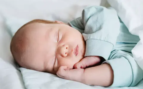 Un tierno recién nacido duerme plácidamente envuelto en mantas. Su carita serena y sus manitas descansan, disfrutando de un profundo sueño.