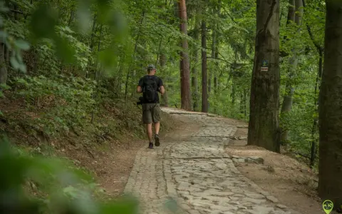 Mężczyzna z plecakiem idzie kamienistą ścieżką przez las. To część trasy na zamek Chojnik.