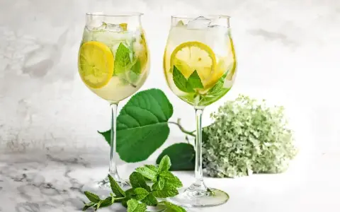 Dwa orzeźwiające drinki Hugo z syropem z czarnego bzu, cytryną i miętą, gotowe do degustacji.