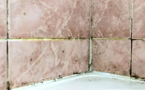 Mörk mögelväxt längs fogarna på rosa kakel i ett badrum, ett tydligt tecken på fuktskada.