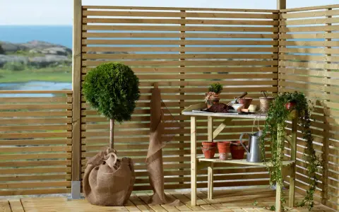 Trädgårdsmöbler och växter bakom ett insynsskydd mot granne. En rundtopiary och en hängande murgröna ger grönska.