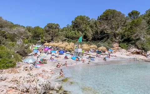 Słoneczna plaża z turkusową wodą, parasolami i ludźmi wypoczywającymi na piasku. To jedno z najpiękniejszych miejsc na Majorce.