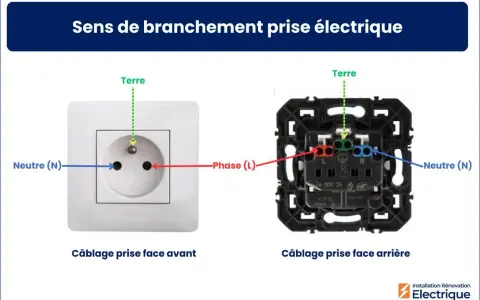 Vue avant et arrière d'un socle de prise électrique, montrant le câblage correct pour la phase, le neutre et la terre.
