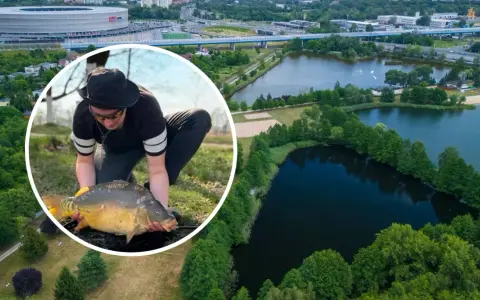 Wrocławskie łowisko z okazałym karpiem w rękach wędkarza. W tle stadion i jeziora.