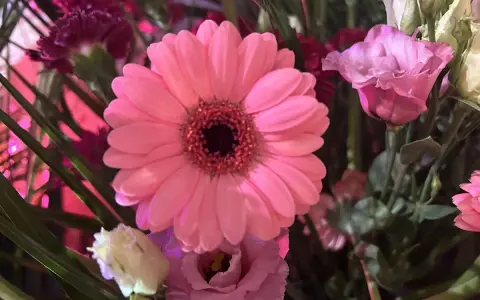 Różowa gerbera doniczkowa w bukiecie z innymi kwiatami.