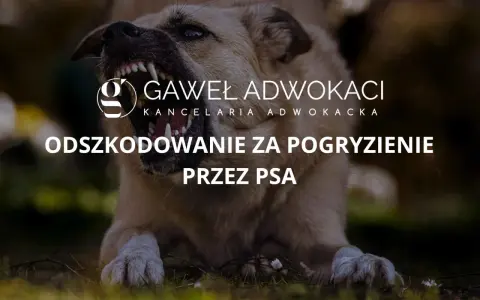 Pogryzienie przez psa: Co robić? Pierwsza pomoc, lekarz, odszkodowanie