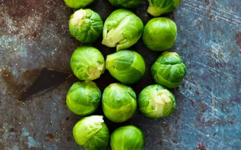Frischer Rosenkohl liegt auf dunklem Untergrund. So lagern Sie Rosenkohl richtig für maximale Frische.