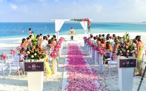 Nietypowe miejsce na wesele: romantyczna ceremonia na plaży z białym dywanem usypanym płatkami róż, morzem w tle i gośćmi siedzącymi w białych krzesłach.