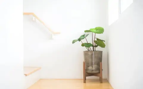 Jak zbudować drewniany kwietnik? Poradnik DIY krok po kroku