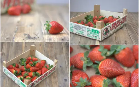Cajas de madera con pintadas cajas de fresas decoradas, listas para ser disfrutadas. Frescura y sabor en cada detalle.