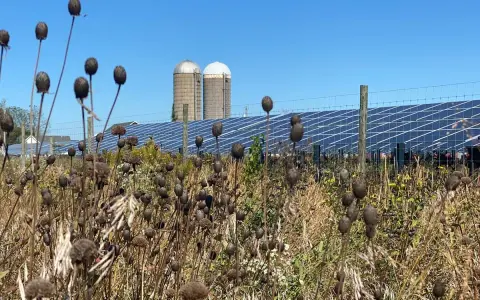Sonnenkollektoren hinter einem Zaun mit trockenen Pflanzen im Vordergrund und zwei Silos.