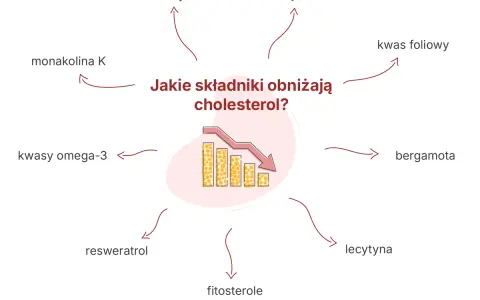 Monakolina K i inne składniki, jak berberyna czy kwasy omega-3, pomagają obniżyć cholesterol.