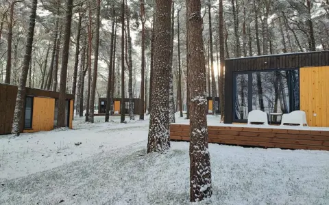 Nowoczesne domki nad morzem całoroczne w zimowej scenerii. Śnieg pokrywa trawę i drzewa, tworząc bajkowy krajobraz.