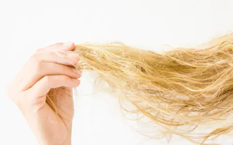 Hand hält eine Strähne blonden, trockenen Haares vor weißem Hintergrund.