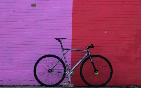 A sleek, fixed gear bike with "MASH" branding leans against a vibrant pink and red brick wall.