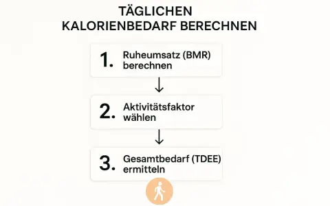 Schritt-für-Schritt-Anleitung zur Berechnung des täglichen Kalorienbedarfs für erfolgreiches Abnehmen im Kaloriendefizit.