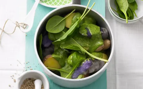 Bunte Kartoffeln mit grüner Sauce und frischem Spinat. Ein leckeres Gericht, das Lust auf mehr Sauerampfer Rezepte macht.