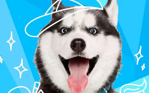 Uśmiechnięty husky w czapce z daszkiem. Ta rasa psa na e jest gotowa na przygodę, z niebieskimi oczami i wystawionym językiem.