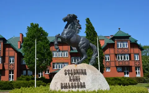 Białogóra: Jazda konna nad morzem galop po plaży, cennik, noclegi