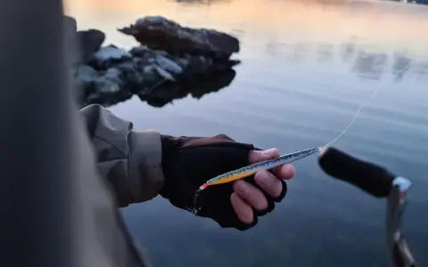 Person med fiskeutrustning håller en laxdrag i handen vid vattnet.