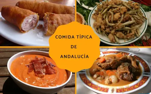 Cuatro platos de comida andaluza: croquetas, pescaíto frito, salmorejo y rabo de toro.
