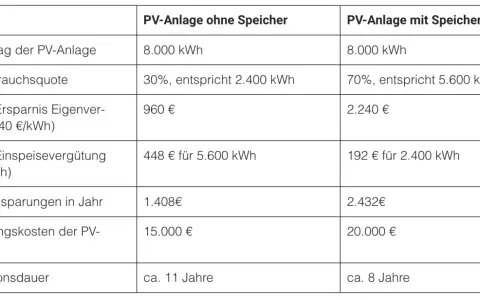 Vergleich von PV-Systemen: Anlage mit Speicher amortisiert sich in 8 Jahren, ohne Speicher in 11 Jahren.