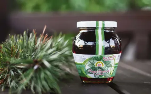 Słoik syropu z sosny, obok gałązka iglaków. Na etykiecie widnieje napis "Pine-Cone Elixir", sugerujący naturalne pochodzenie i potencjalne zastosowanie.