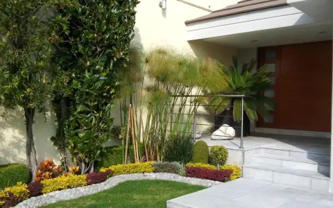 Un rigoglioso spazio davanti casa con alberi, piante di papiro e un prato curato.