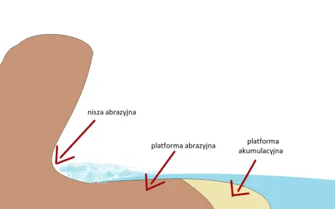 Schematyczny klif nad morzem z zaznaczoną niszą abrazji, platformą abrazji i platformą akumulacyjną.