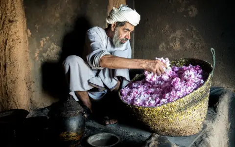 Ein Mann mit Turban und Bart sortiert duftende Blüten in einem Korb. Ein Einblick in die omanische Kultur und traditionelle Handwerkskunst.
