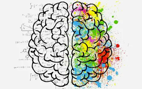 Cerveau divisé : d'un côté, formules mathématiques complexes ; de l'autre, éclaboussures vives. L'influence des couleurs sur la pensée.