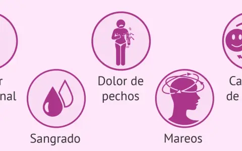 Iconos ilustran síntomas del embarazo: dolor abdominal, sangrado, dolor de pechos, mareos y cambios de humor.