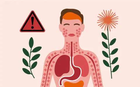 Attention : achillée millefeuille danger. Illustration d'une personne réagissant à une plante, avec des éruptions cutanées et des organes internes affectés.