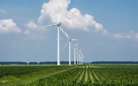 Rząd białych turbin wiatrowych na tle błękitnego nieba z chmurami, nad zielonym polem kukurydzy. Efektywne cable pooling w akcji.