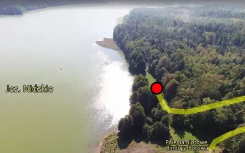 Jezioro Nidzkie i las. Na brzegu lasu zaznaczono pole namiotowe Binduga Borowa, idealne miejsce na nocleg.