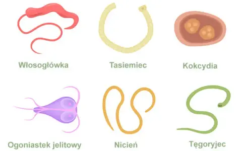 Pasożyty a objawy psychiczne: Jak rozpoznać niebezpieczne symptomy