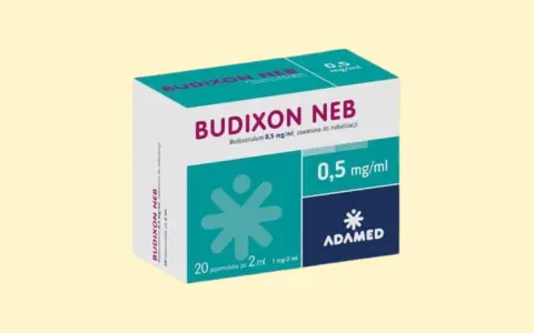 Opakowanie leku Budixon Neb 0,5 mg/ml, zawiesina do nebulizacji. 20 ampułek po 2 ml.