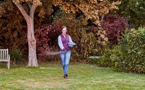Mujer esparciendo abono en el césped, cuidando su jardín. Es el momento ideal para saber cuándo abonar el césped y asegurar su salud.