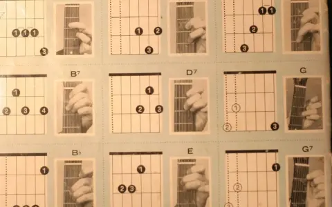 Diagramy akordów gitarowych: A7, B7, Bb, D, D7, E, F, G, G7. Nauka gry na gitarze.