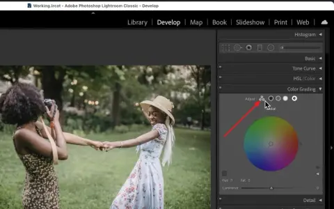 Ajustando el color en Lightroom. Dos mujeres en un parque, una toma fotos a la otra.