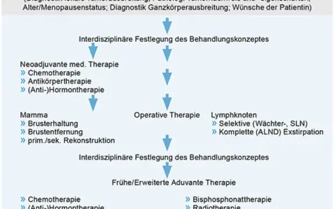 Mammakarzinom Diagnostik: Wichtige Verfahren und ihre Bedeutung für die Früherkennung