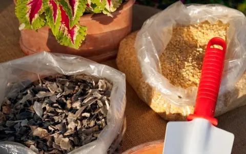 Due sacchi trasparenti contengono concime naturale per piante: uno con scaglie scure, l'altro con granuli gialli. Una paletta rossa e bianca è appoggiata su uno dei sacchi.