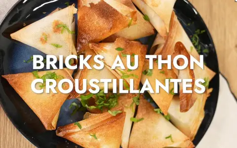 Une assiette de bricks au thon dorées et croustillantes, garnies de persil frais. Parfait pour un apéritif savoureux.