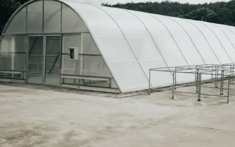 Zarobki z tunelu foliowego: Czy to się opłaca? Sprawdź kalkulacje.