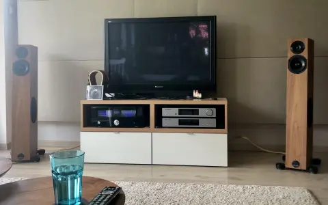 Dwie kolumny Audio Physic Virgo w drewnianej okleinie, telewizor, sprzęt audio i szklanka wody na stoliku.