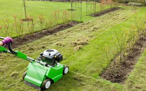 Wertykulacja trawnika w ogrodzie. Zielona maszyna usuwa filc i mech, przygotowując trawnik do wiosennego wzrostu.